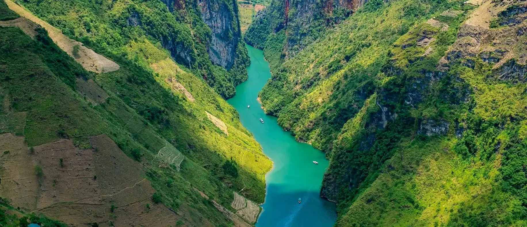 Cẩm nang